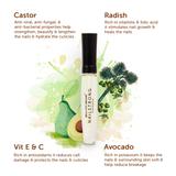 Ingredients of NailStrong Nail Cuticle Growth and Repair Oil
