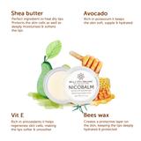 NicoBalm Active Ingredients